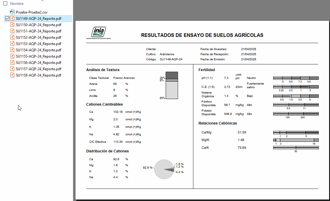 Reporte